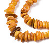 Natural Freshwater Shell Beads Strands SHEL-S278-071C-3