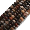 Natural Petrified Wood Beads Strands G-Z111-A50-3