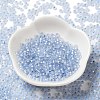 8/0 Glass Seed Beads SEED-Z001-C-E09-2