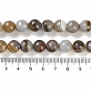 Natural Agate Beads Strands G-M437-B01-01M-5