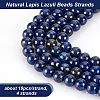 Natural Lapis Lazuli Beads Strands G-OC0001-76-4