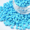 6/0 Glass Seed Beads SEED-S058-A-F298-1