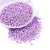 Baking Paint Glass Seed Beads SEED-T006-03K-3