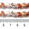 Dyed & Heated Natural Fire Crackle Agate Beads Strands G-P539-B01-12-5