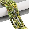 Natural Serpentine Beads Strands X-G-G829-06-4mm-2
