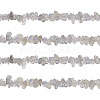 Natural Labradorite Bead Strands G-GL0001-03-1