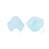 Transparent Acrylic Beads MACR-S373-106-D04-2