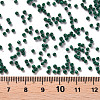 12/0 FGB Grade A Round Glass Seed Beads SEED-N001-A-1029-3