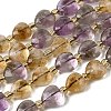 Natural Ametrine Beads Strands G-F799-C01-01-2