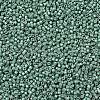 MIYUKI Delica Beads SEED-MY11-DB1171-3