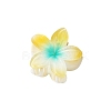 Plastic Claw Hair Clips PW-WG07B2B-08-1