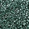 Baking Paint Glass Seed Beads X-SEED-S042-15A-15-3