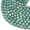 Natural Amazonite Beads Strands G-K389-A47-01-3