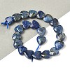 Natural Lapis Lazuli Beads Strands G-D316-B11-1