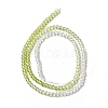Transparent Gradient Color Glass Beads Strands GLAA-H021-01B-25-4