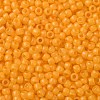 TOHO 11/0 Round Beads SEED-XTR11-0148F-2