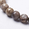 Natural Silver Leaf Jasper Beads Strands X-G-K181-6mm-O01-2