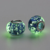 Handmade Luminous Lampwork European Beads LAMP-Q029-35B-3