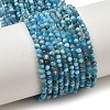 Natural Apatite Beads Strands G-D347-A01-2