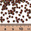 8/0 Glass Seed Beads SEED-S006-25-4