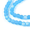 Frosted Transparent Glass Beads Strands GLAA-T032-T4mm-MBB06-3