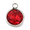 Birthstone Theme January 304 Stainless Steel Pendants STAS-G082-17P-01-1