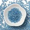 Glass Seed Beads SEED-H002-C-A046-2