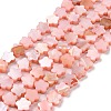 Natural Freshwater Shell Beads Strands SHEL-H002-03D-1