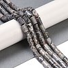 Natural Map Stone Beads Strands G-C128-A04-01-2