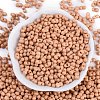 Baking Paint Glass Seed Beads X1-SEED-K010-A21-3