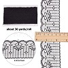 Polyester Lace Trim OCOR-WH0071-035B-2