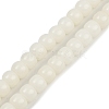 Natural Bodhi Root Beads Strand WOOD-B010-A02-6x8mm-2