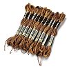 10 Skeins 6-Ply Polyester Embroidery Floss OCOR-K006-A39-1