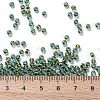 TOHO Round Seed Beads X-SEED-TR08-1014-4