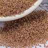 MIYUKI Round Rocailles Beads SEED-X0056-RR0275-1