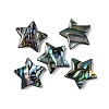 Natural Paua Shell Epoxy Resin Cabochons SSHEL-S279-01F-1