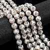 Tibetan Style Turtle Back Pattern dZi Beads Strands G-G036-10mm-6-6