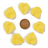 Autumn Theme Transparent Frosted Acrylic Pendants PAF002Y-17-4