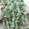 Natural Chrysoprase Beads Strands G-G0004-D01-A-01-5