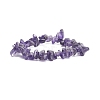 Natural Amethyst Chips Beaded Jewelry Set SJEW-JS01232-03-4