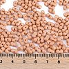 Baking Paint Glass Seed Beads X1-SEED-K010-A21-4