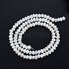 Natural Freshwater Shell Beads Strands SHEL-G013-03B-2