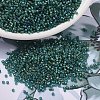 MIYUKI Delica Beads SEED-X0054-DB2381-1