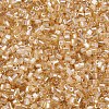 Glass Bugle Beads SEED-S032-11A-102-3