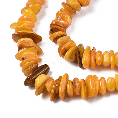 Natural Freshwater Shell Beads Strands SHEL-S278-071C-1