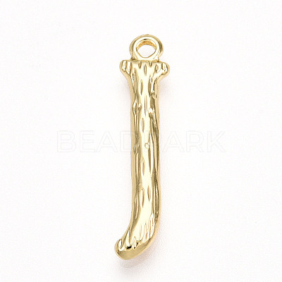 304 Stainless Steel Pendants STAS-N117-01G-J-1
