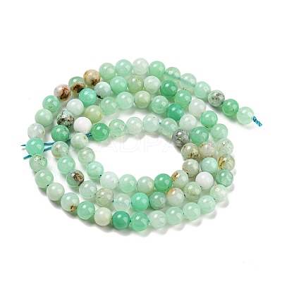 Natural Chrysoprase Beads Strands G-P503-6MM-03-1