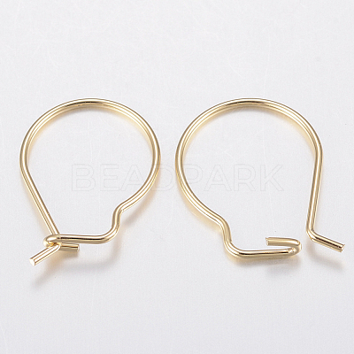 304 Stainless Steel Hoop Earring Findings X-STAS-H436-02-1