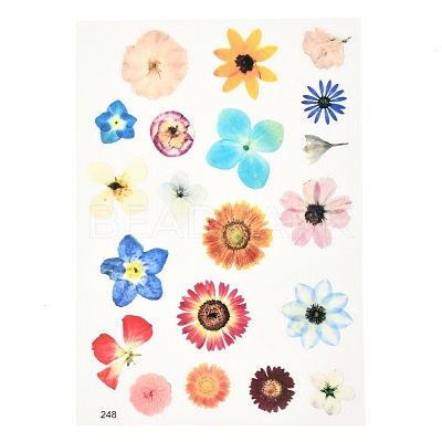 Waterproof Plastic Self Adhesive Stickers DIY-F064-13E-1