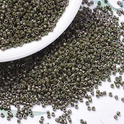 MIYUKI Delica Beads X-SEED-J020-DB0657-1